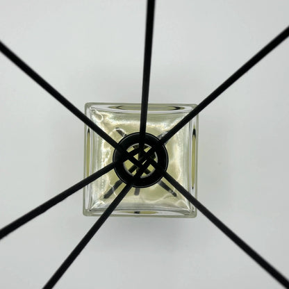 Top-down view of a square glass reed diffusers and oil bottle with black reeds radiating outwards.